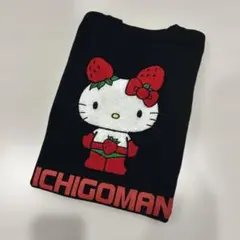 2026年最新】イチゴマンの人気アイテム - メルカリ