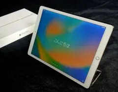 Item thumbnail for item 79b5a81e-64ac-4277-abca-f232e13697f2