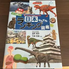 Item thumbnail for item 7e9d0eb7-50dd-46e6-bb03-1ba01a92a2e6