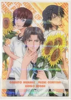 テニプリ　シャイニングクリア　レア　跡部　忍足　向日