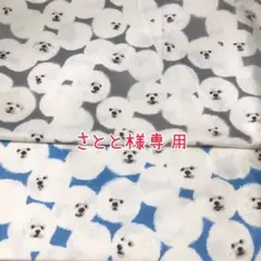 さとと様専用 kotorinunoビション 綿麻キャンバス生地2点セット