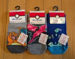 ポケモン 靴下 19〜24㎝ リザードン ガラルファイヤー テラパゴス セット