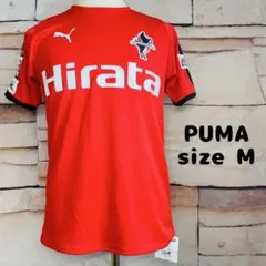 Item thumbnail for item cc9264f5-8d1a-46c6-ade2-84258a8ac104