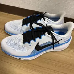 NIKE ペガサス41 29㎝