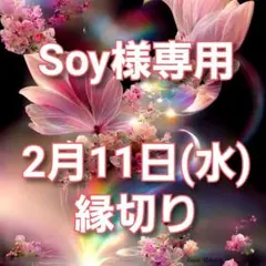 Soy様専用