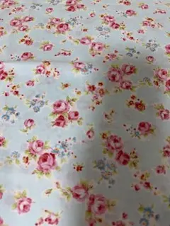 Item thumbnail for item 190f5eff-1a0c-44c0-8040-fed8178b7ace