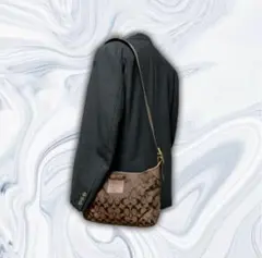 COACH シグネチャー キャンバス ショルダーバッグ y2k パンク ロック