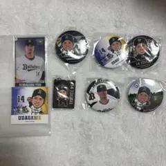 Item thumbnail for item 5d0c842c-0932-49bb-a66c-fe85c97b65ca