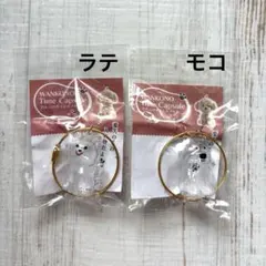 わんこのタイムカプセル　ラテ　モコ　2個セット