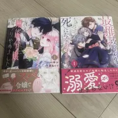 Item thumbnail for item 642ad0dc-6379-4f17-a06c-7ce3c78fd1e8