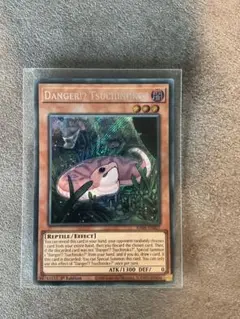 EU英語 Danger!? Tsuchinoko? 1st Edition