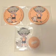 イナズマイレブン イナイレ まねきねこ コラボ 缶バッジ 円堂ハル 6点