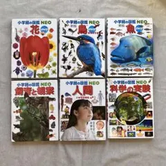 小学館の図鑑NEO 6冊セットDVD付 花 鳥 魚 飼育と観察 人間 科学の実験
