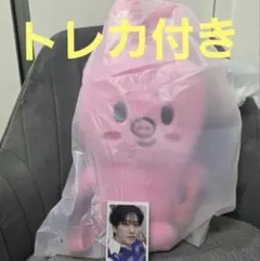 SEUNGMIN スンミン Straykids スキズ ペンミ リュック SEUNGMIN スンミン Straykids スキズ ペンミ リュック - メルカリ