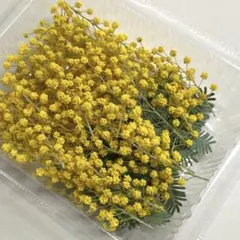 ちいかわ好き様　　専用