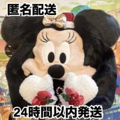 ミニー ミニーマウス ファンキャップ クリスマス 2025 新品未使用 タグ付き