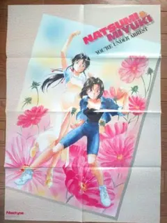 2026年最新】逮捕しちゃう ポスターの人気アイテム - メルカリ