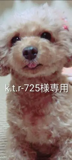 k.t.r-725様専用オーダーページ♡