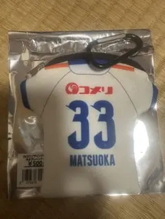 アルビレックス新潟　ネオプレーンケース　33松岡