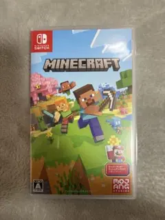 マイクラフト switch ソフト