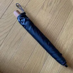 Item thumbnail for item 783d17ee-e60b-4fc5-9c5b-f01a73319468