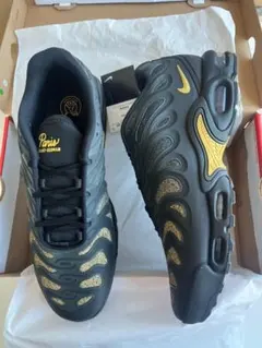 33 新品 Nike Air Max Plus Drift パリサンジェルマン