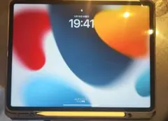 iPad Pro (12.9) 第5世代 Applepencilカバー付き