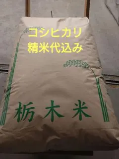 高食味❗️令和8年産 新米 我が家減農薬特別栽培 高知コシヒカリ 玄米
