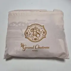 東京ディズニーシー ファンタジースプリングス グランドシャトー 巾着　エコバックのサムネイル