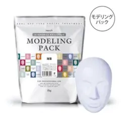 モデリングパック 1kg 2セット エステ専用パック 素人様でも使えます‼️