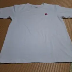 THE NORTH FACE ホワイト Tシャツ　Lサイズ