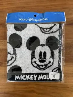 東京ディズニーリゾート　ウオッシュタオル　新品未使用