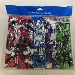 東京ディズニーリゾート ミニタオル5枚セット
