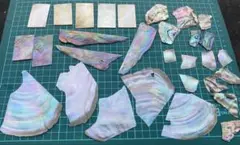 螺鈿細工用 貝殻セットアワビ/白蝶貝/夜光貝 /黒蝶貝　天然素材 ハンドメイド