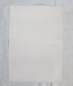 Item thumbnail for item 84bc142f-7a14-4aec-b33e-56bbc02b2c43