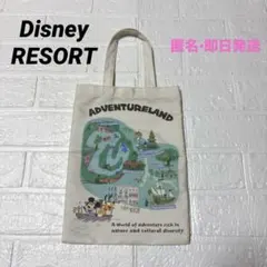 美品　東京ディズニーリゾート アドベンチャーランド ランダム　トートバッグ　即日