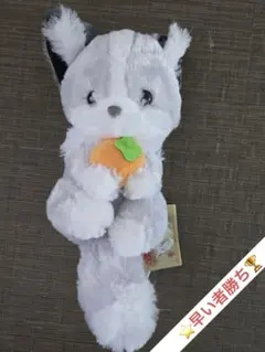 ちょコンとキツネ　ぬいぐるみ　あんみつ