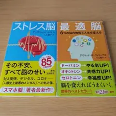 h-100 書き込みあり ストレス脳 最適脳 セット