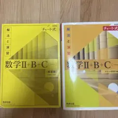 非売品【チャート式解法と演習数学Ⅱ＋B＋C［ベクトル］】