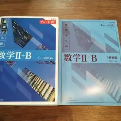 【即購入可】基礎からの数学II+B （解答編付き）