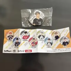 ハイキュー‼︎✖️くら寿司　日向翔陽 缶バッジ