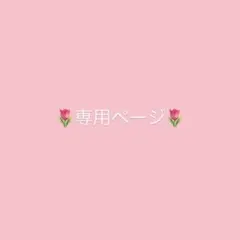 専用ページ