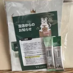 【サンプル】VT リードルショット　100 300