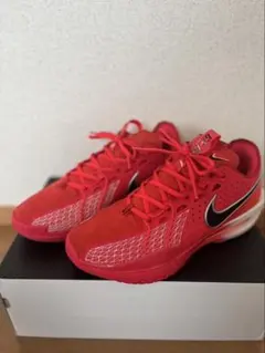 Nike エアズームGTカット3