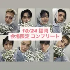 stray kids 福岡 会場限定 トレカ コンプリート