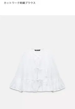 ZARA カットワーク刺繍ブラウス