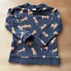 Item thumbnail for item 18559684-ccb3-4ffa-b683-74342fbab217