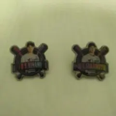 阪神タイガース 木浪聖也 坂本誠志郎 ピンバッジ 2個セット
