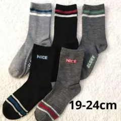 新品　男の子　男児　クルー丈　靴下　19-24cm 5足セット　キッズソックス