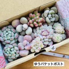 まめよし様 リクエスト 2点 まとめ商品